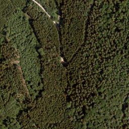 Satellite imagery of Richtberg, DE