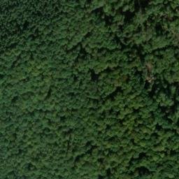 Satellite imagery of Buscher Berg, DE