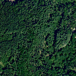 Satellite imagery of Ringwall, DE