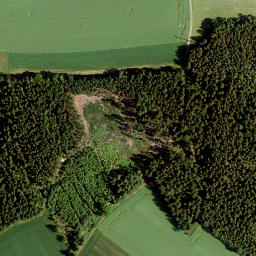 Satellite imagery of Buchenberg, DE