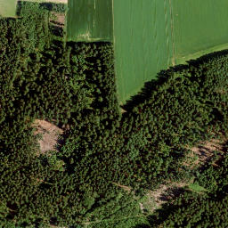 Satellite imagery of Buchenberg, DE