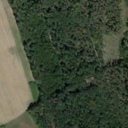 Satellite imagery of Borkovský kopec [Borek], CZ