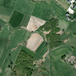 Satelita