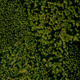 Satellite imagery of Hoher Querberg, DE