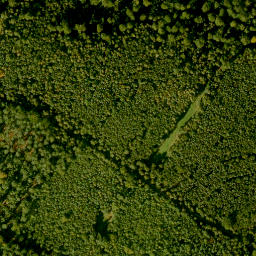 Satellite imagery of Süssenberg, DE