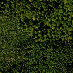 Satellite imagery of Süssenberg, DE