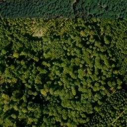 Satellite imagery of Hühnerberg, DE