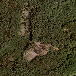 Satellite imagery of Richtberg, DE