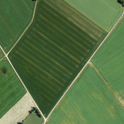 Satellite imagery of Buchenberg, DE