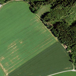 Satellite imagery of Buchenberg, DE