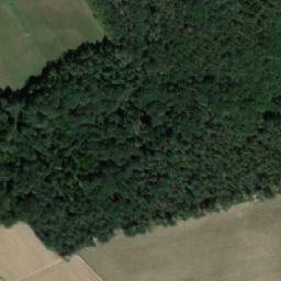 Satellite imagery of Borkovský kopec [Borek], CZ