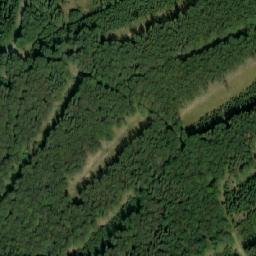 Satellite imagery of Lysý vrch [Bělá pod Pradědem-Domašov], CZ