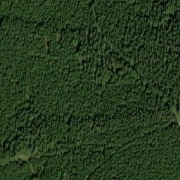 Satellite imagery of Lysý vrch [Bělá pod Pradědem-Domašov], CZ