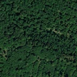 Satellite imagery of Dickersberg, DE