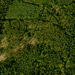 Satellite imagery of Süssenberg, DE