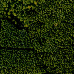 Satellite imagery of Hühnerberg, DE