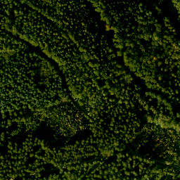 Satellite imagery of Hühnerberg, DE