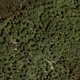 Satellite imagery of Richtberg, DE