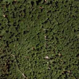 Satellite imagery of Richtberg, DE