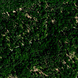 Satellite imagery of Siegelgerück, DE