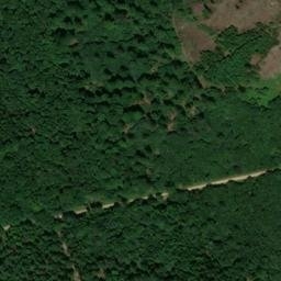 Satellite imagery of Altenstein, DE