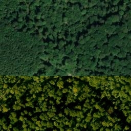 Satellite imagery of Dickersberg, DE