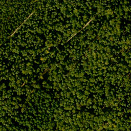 Satellite imagery of Herzberg, DE