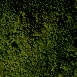 Satellite imagery of Menschenkopf, DE