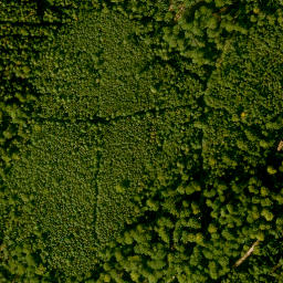 Satellite imagery of Süssenberg, DE