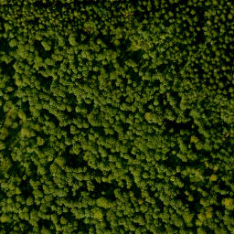 Satellite imagery of Hühnerberg, DE