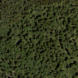 Satellite imagery of Koppe, DE