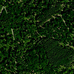 Satellite imagery of Rehsalm, DE