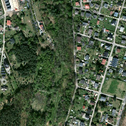 Satelita