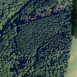 Satellite imagery of Feldseyer Kopf, DE