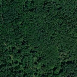 Satellite imagery of Dickersberg, DE