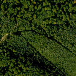 Satellite imagery of Dickersberg, DE