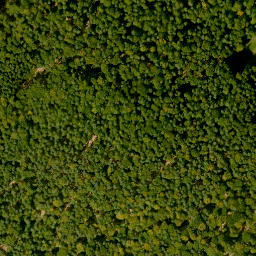 Satellite imagery of Herzberg, DE