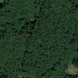 Satellite imagery of Dachsberg, DE