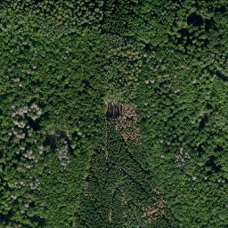 Satellite imagery of Külmitzberg, DE