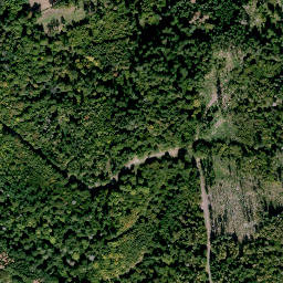 Satellite imagery of Komitsch, DE