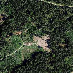 Satellite imagery of Weißenstein, DE