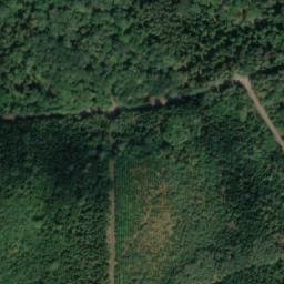 Satellite imagery of Homole [Vysoké Chvojno], CZ