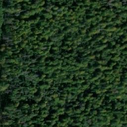 Satellite imagery of [Vrbno pod Pradědem-Mnichov] GSM-2, CZ