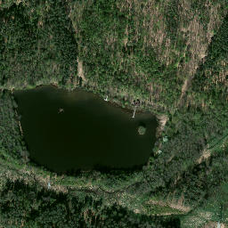 Satelita