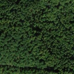 Satellite imagery of Rienecker Koppe, DE