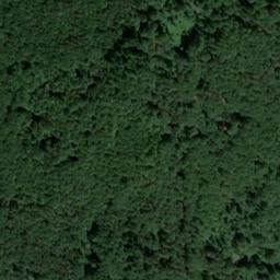 Satellite imagery of Dachsberg, DE