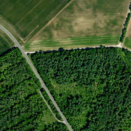 Satellite imagery of Schloss Fischbach, DE