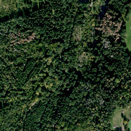 Satellite imagery of Buchleite, DE