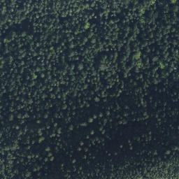 Satellite imagery of Mount Spooner, CA