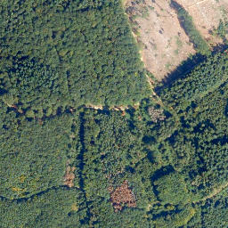 Satellite imagery of Hoher Stein, DE
